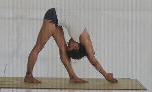 SportFlow Yoga in Laren triangel